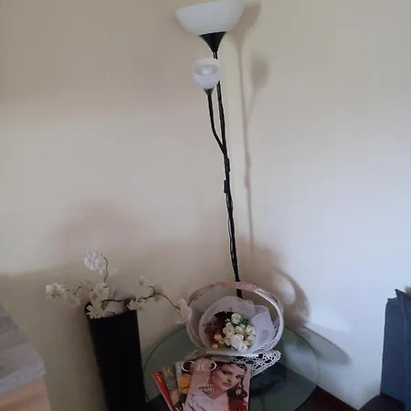 Oxy Apartment *